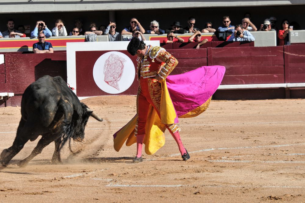 2016cordimamistres (466)