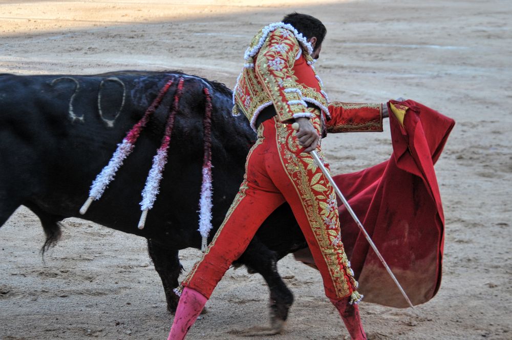 2016cordimamistres (47)
