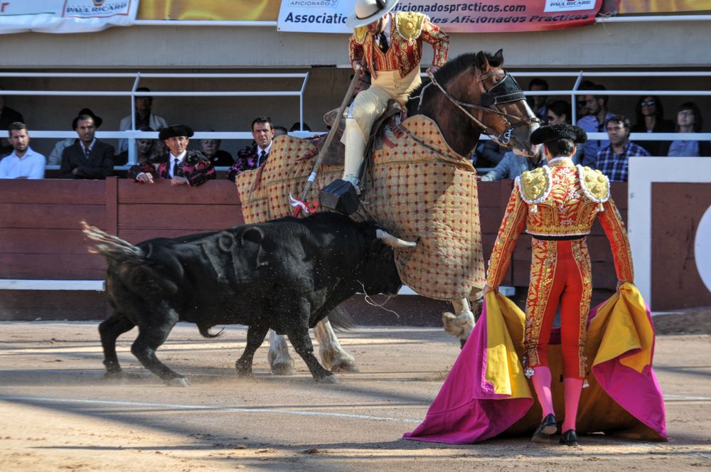 2016cordimamistres (470)