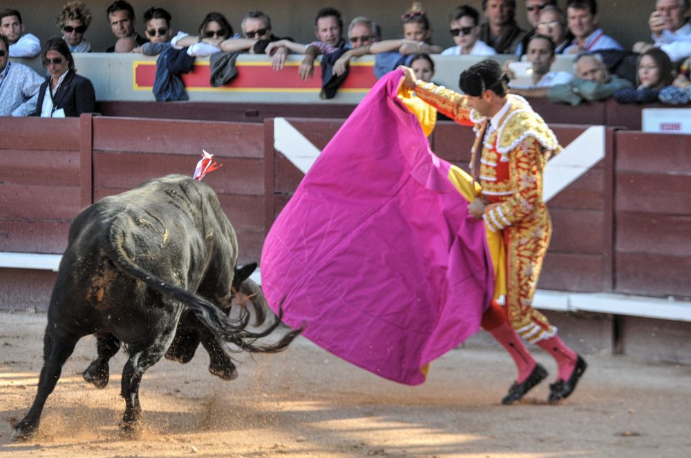 2016cordimamistres (472)