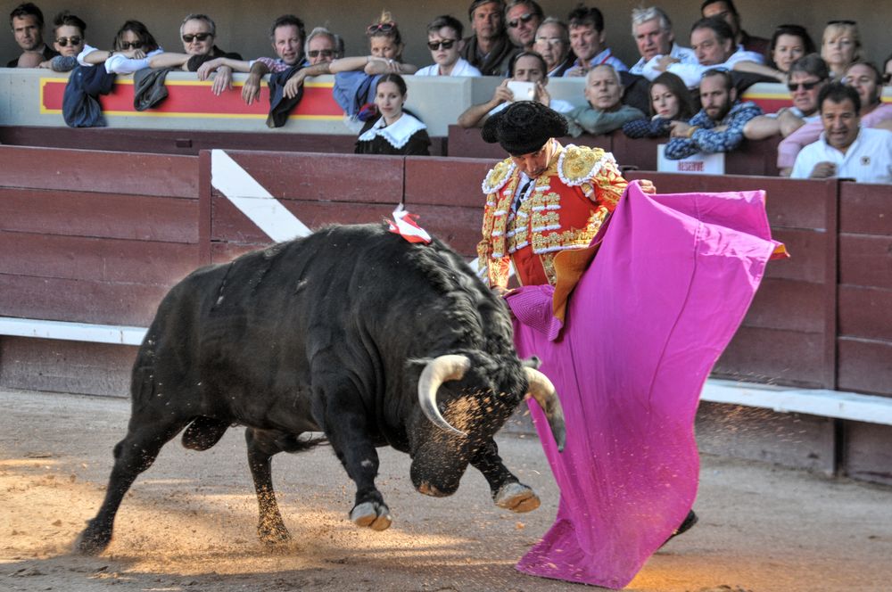 2016cordimamistres (473)