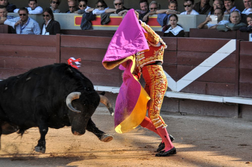 2016cordimamistres (474)