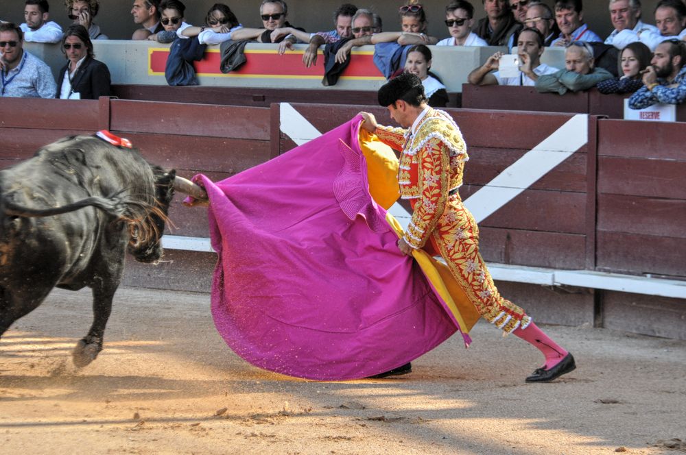 2016cordimamistres (475)