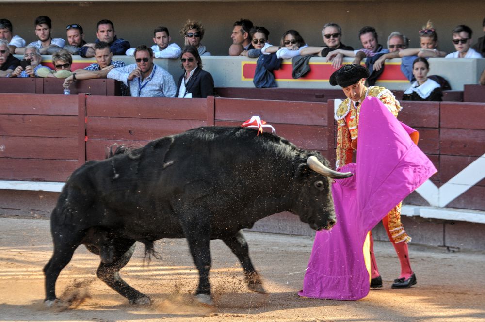 2016cordimamistres (476)