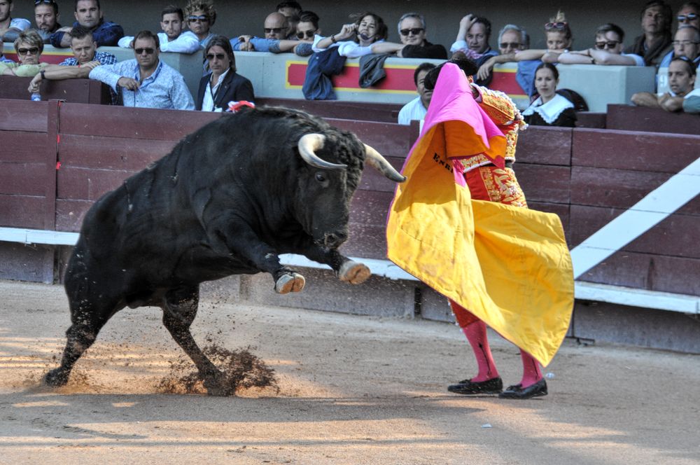 2016cordimamistres (477)