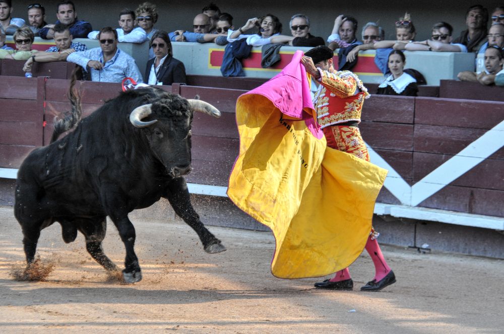 2016cordimamistres (478)