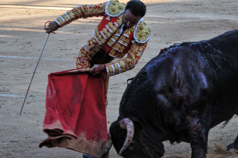 2016cordimamistres (48)