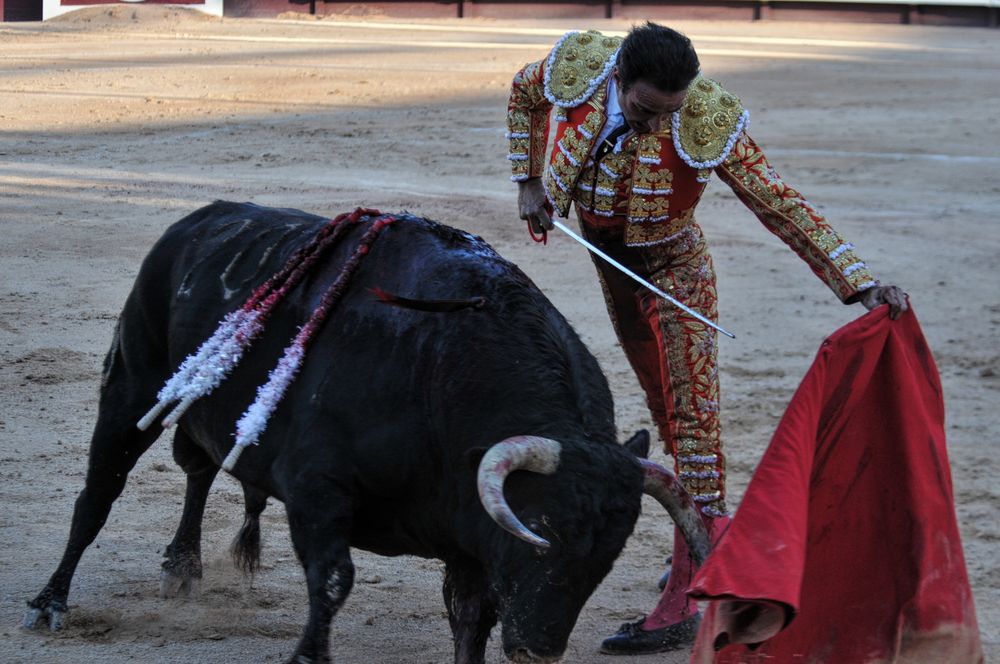 2016cordimamistres (49)