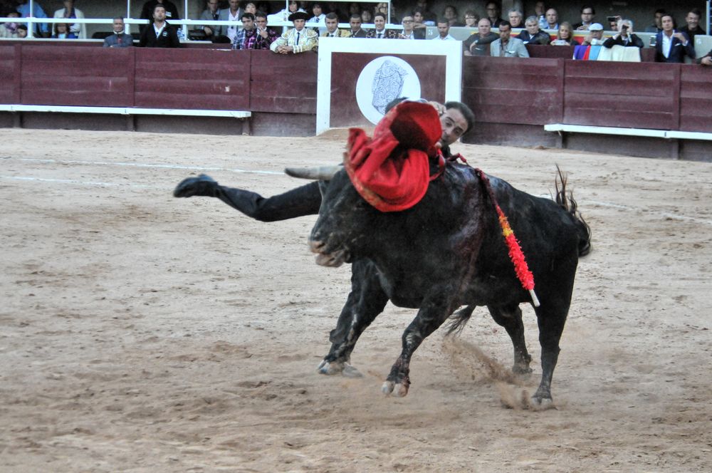 2016cordimamistres (495)