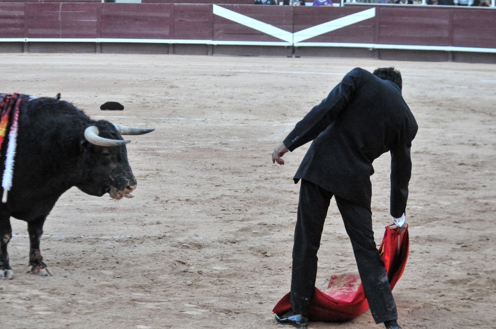 2016cordimamistres (498)
