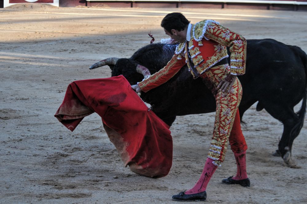 2016cordimamistres (50)