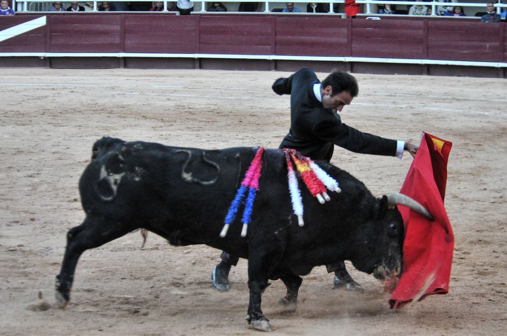 2016cordimamistres (502)