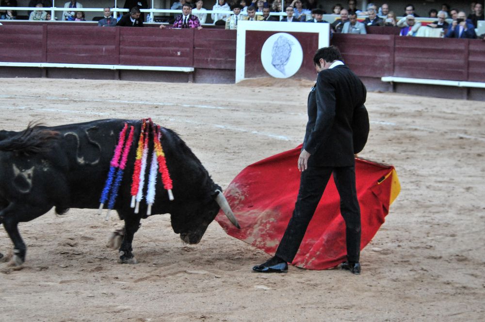 2016cordimamistres (505)