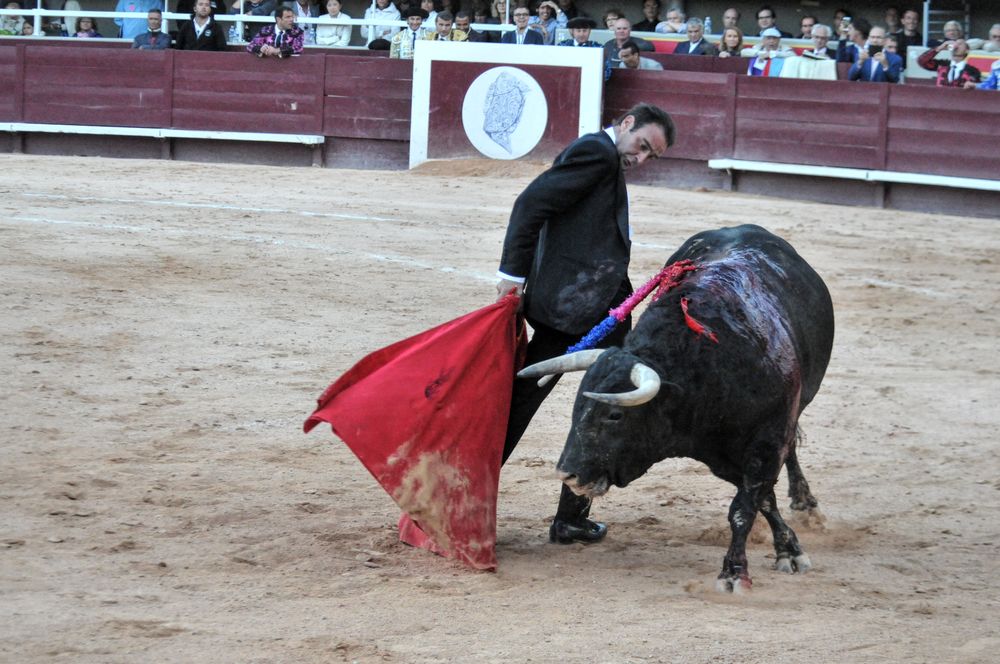 2016cordimamistres (508)