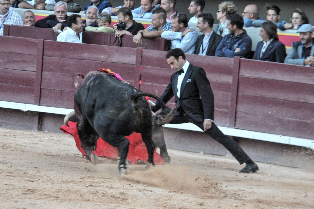 2016cordimamistres (516)
