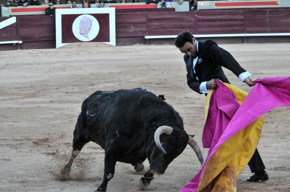 2016cordimamistres (520)