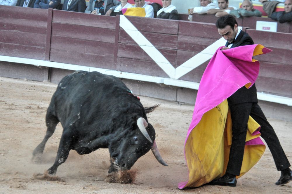 2016cordimamistres (522)