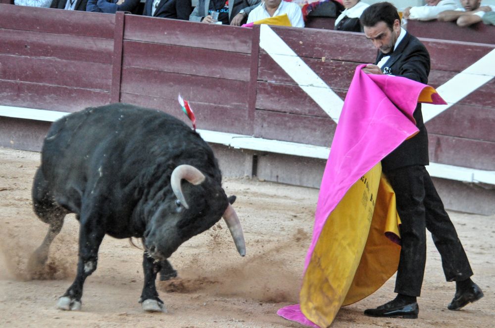 2016cordimamistres (523)