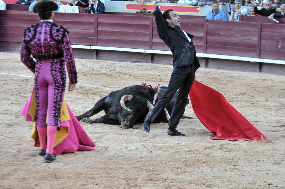 2016cordimamistres (539)