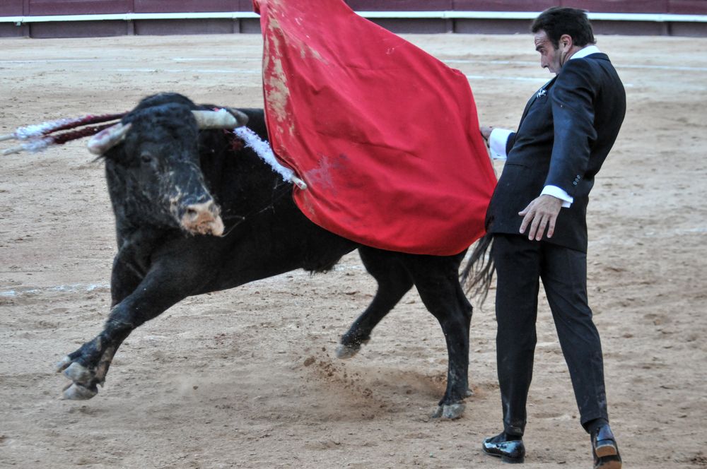 2016cordimamistres (544)