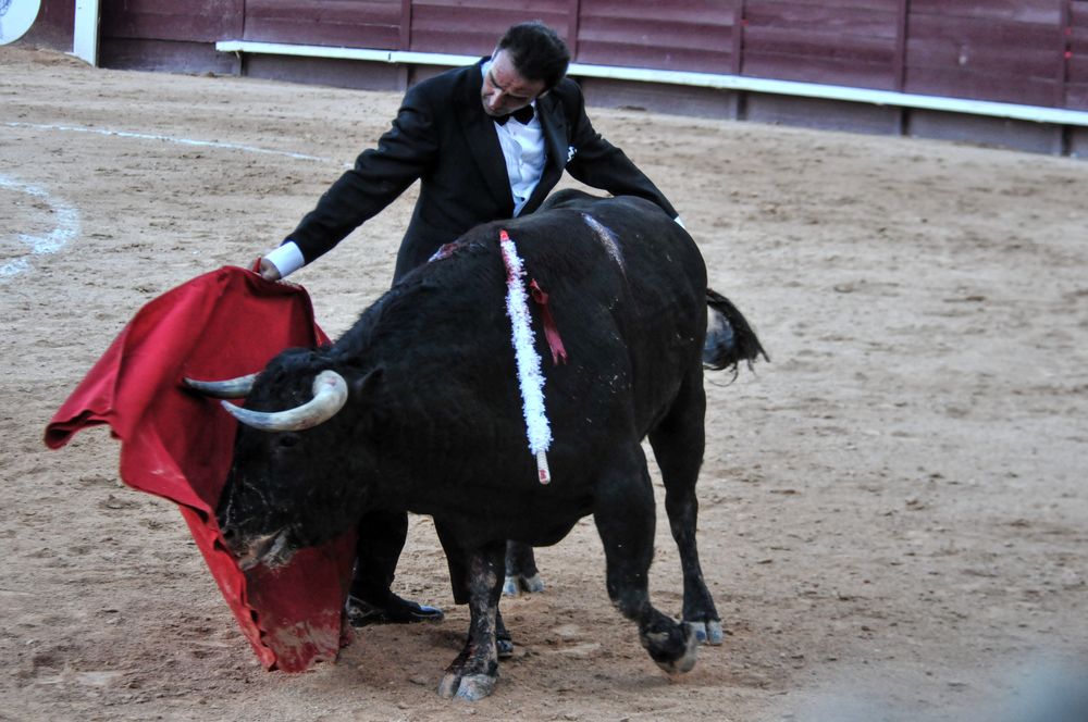 2016cordimamistres (546)
