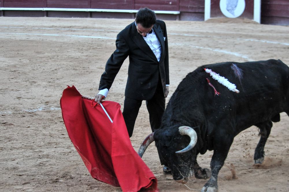 2016cordimamistres (548)