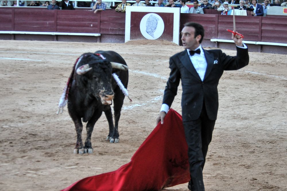 2016cordimamistres (552)