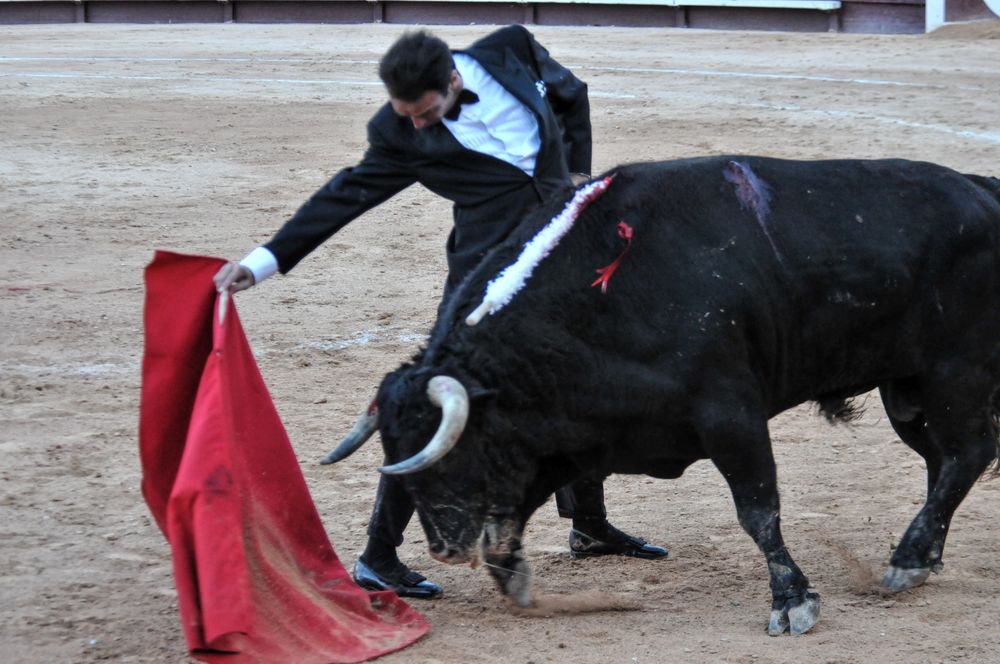 2016cordimamistres (553)