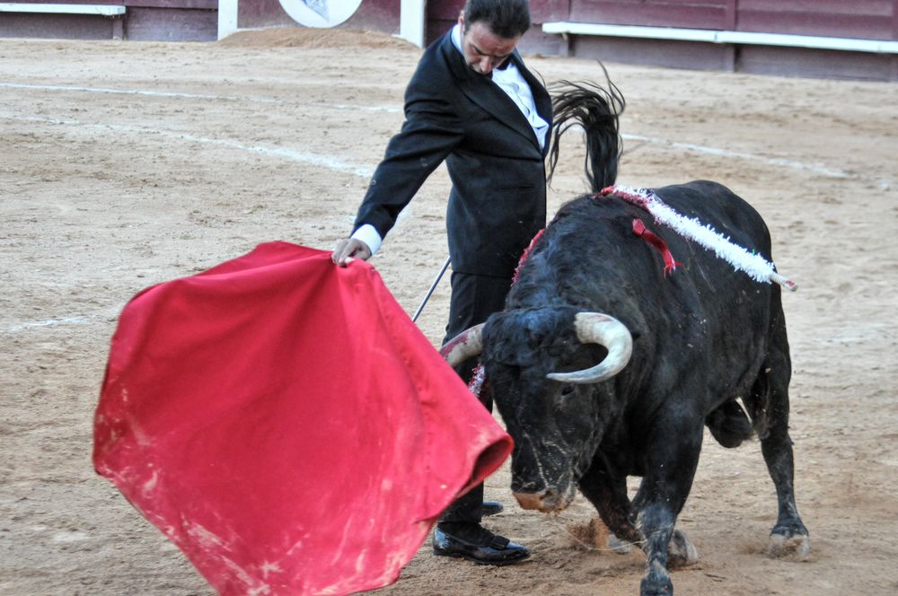 2016cordimamistres (555)