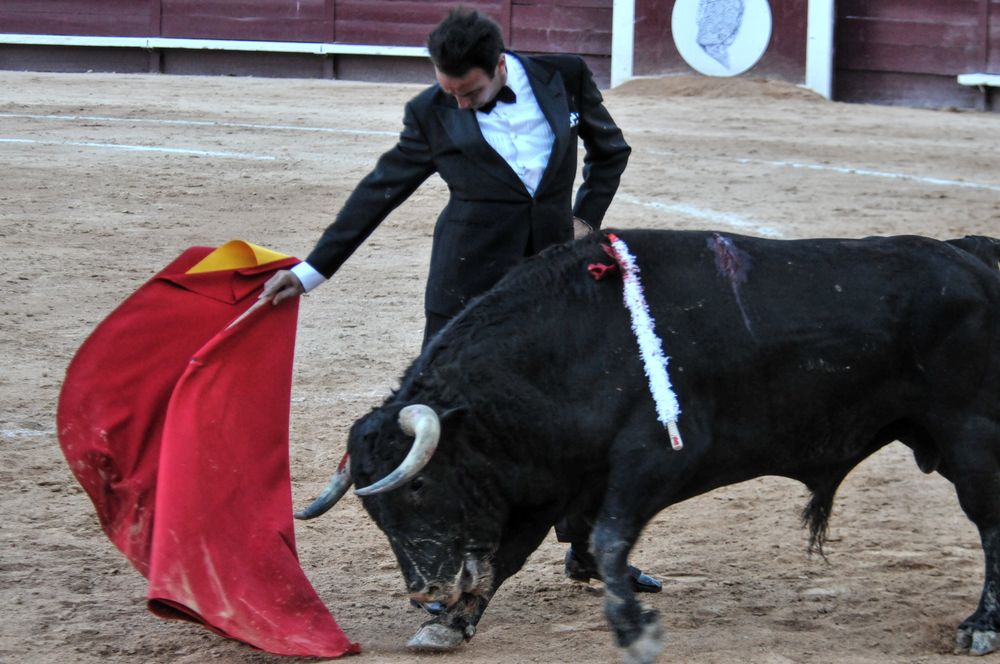 2016cordimamistres (556)