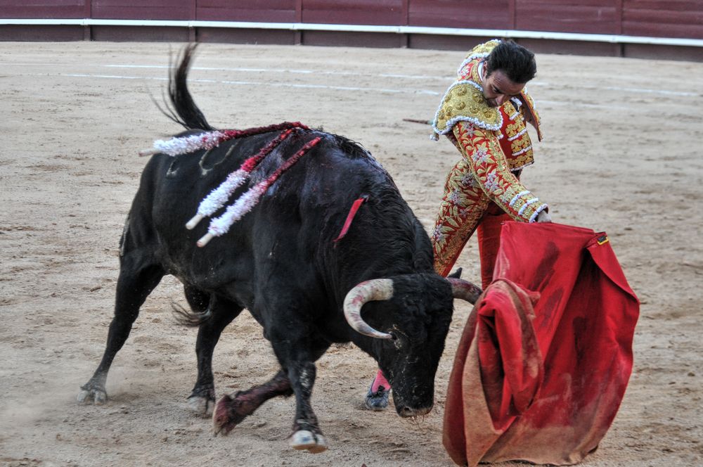 2016cordimamistres (56)