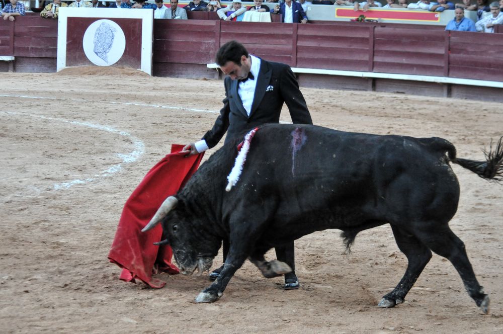 2016cordimamistres (561)