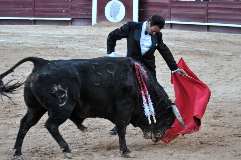 2016cordimamistres (565)