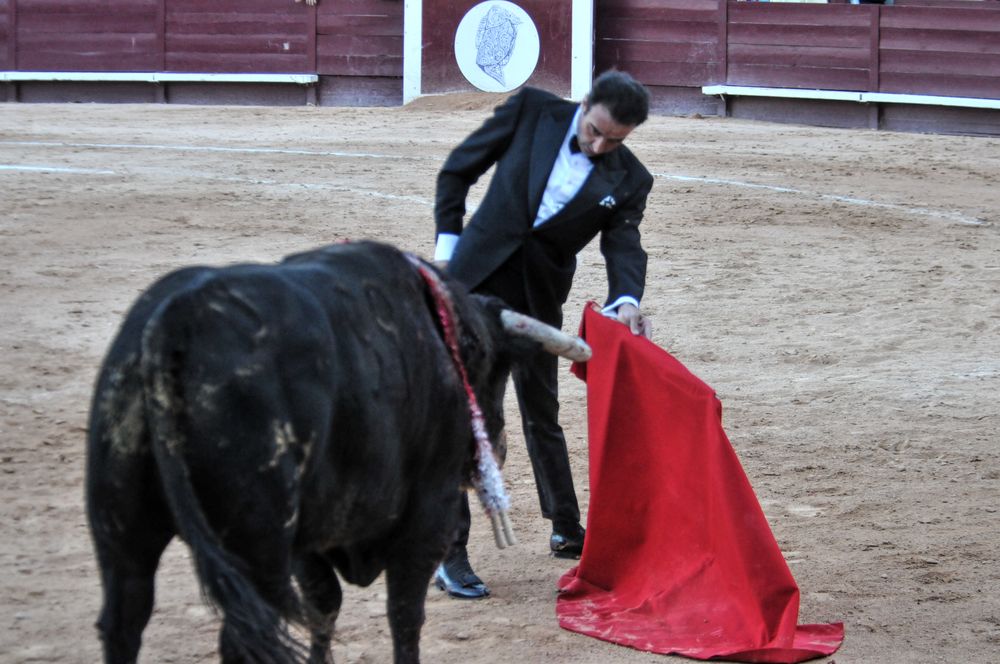 2016cordimamistres (567)