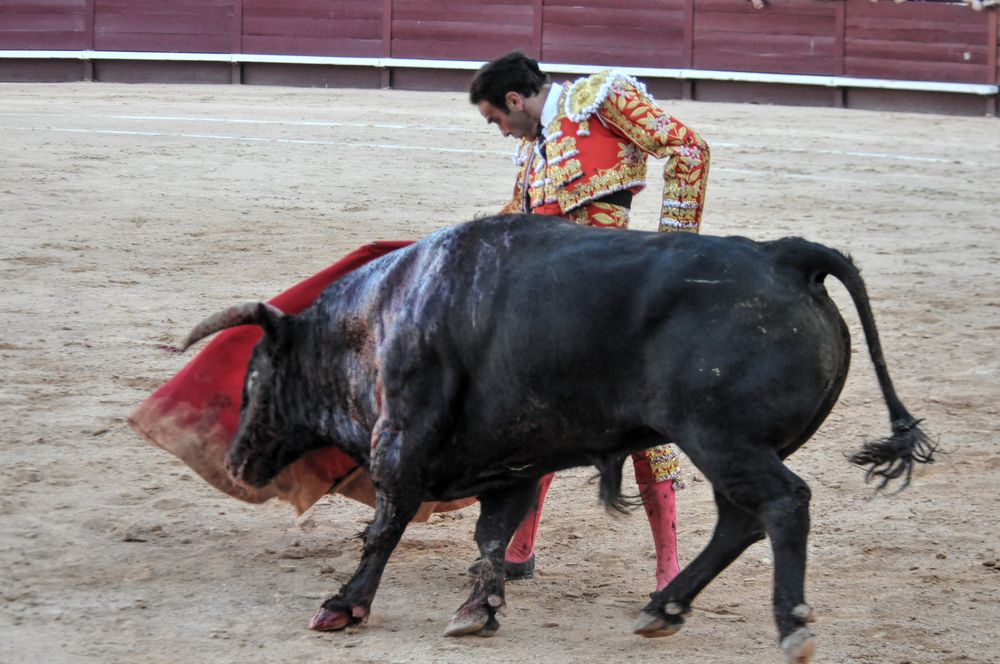 2016cordimamistres (57)