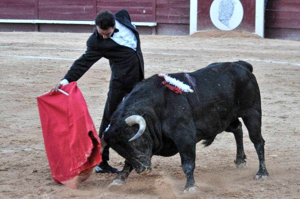 2016cordimamistres (576)
