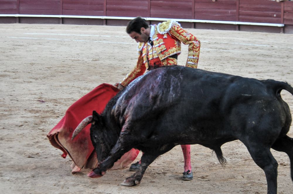 2016cordimamistres (58)
