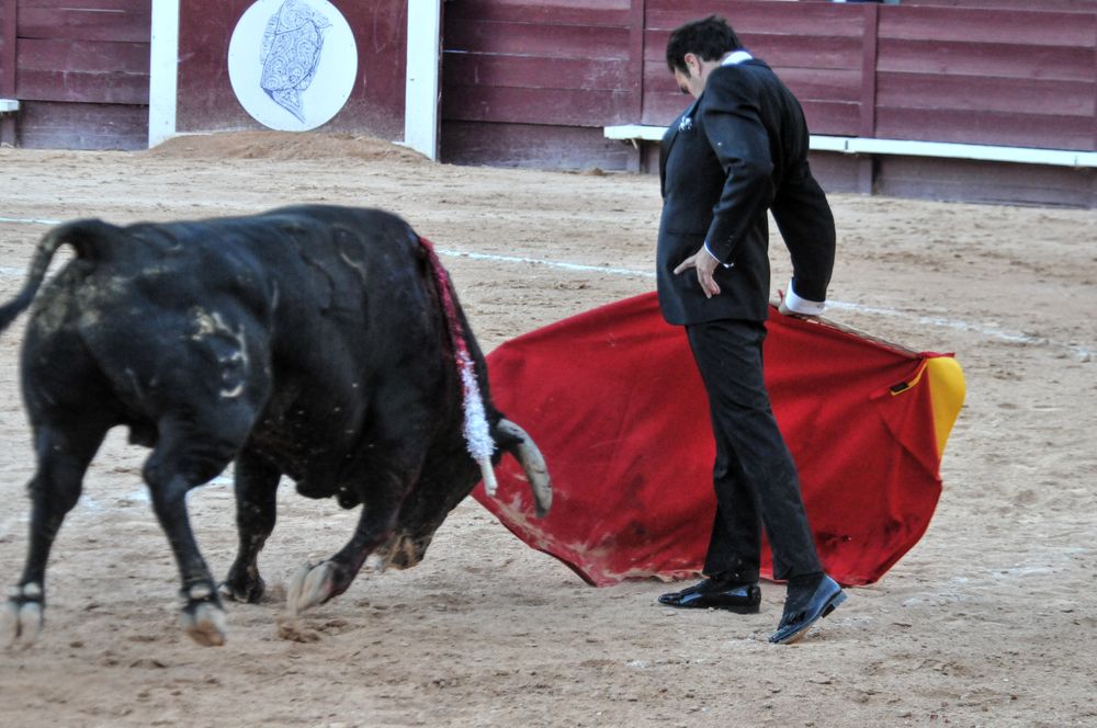 2016cordimamistres (581)