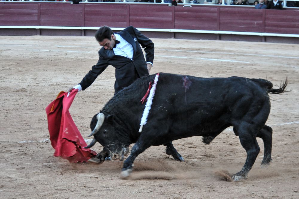 2016cordimamistres (582)