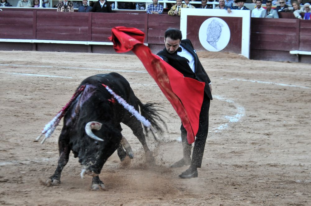 2016cordimamistres (588)