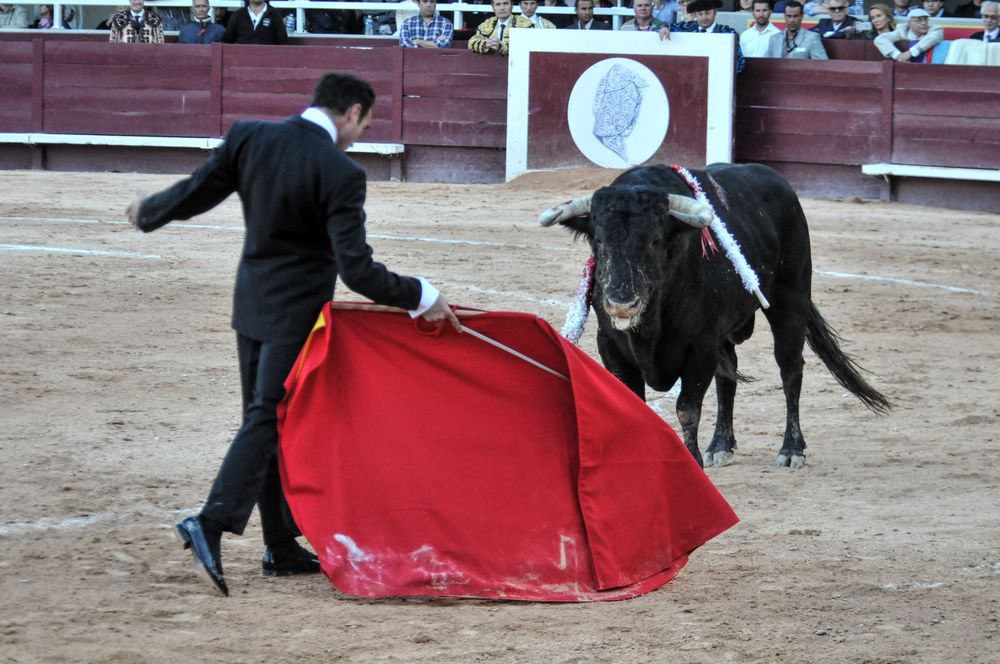 2016cordimamistres (590)