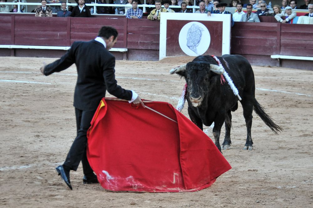 2016cordimamistres (591)