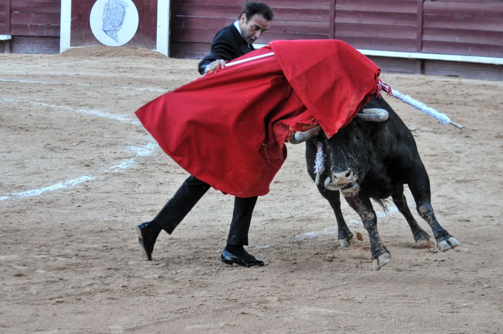 2016cordimamistres (596)