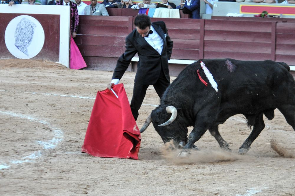 2016cordimamistres (599)