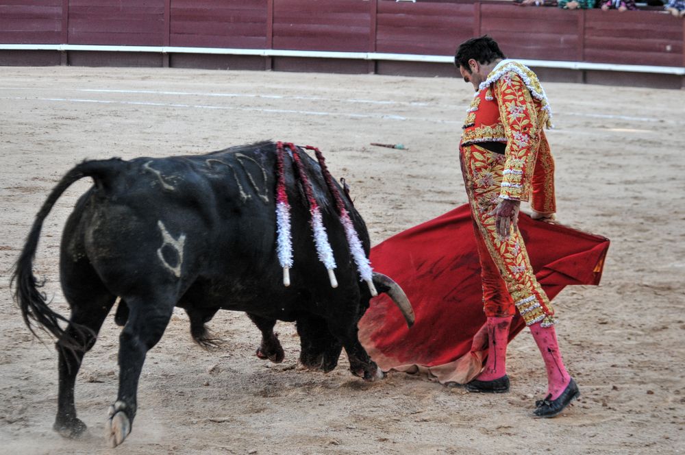 2016cordimamistres (60)