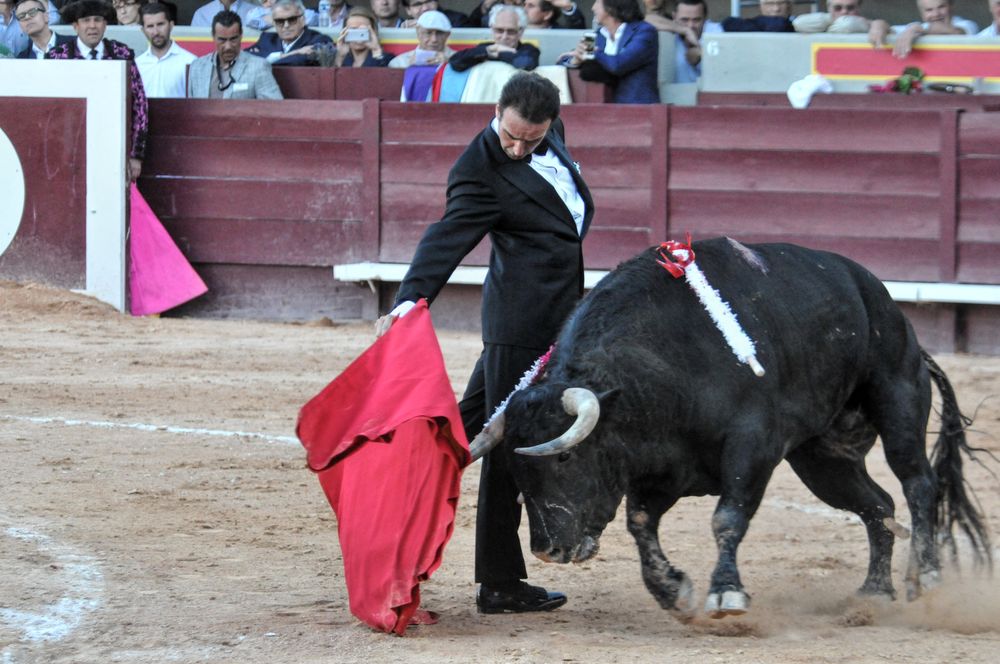 2016cordimamistres (602)