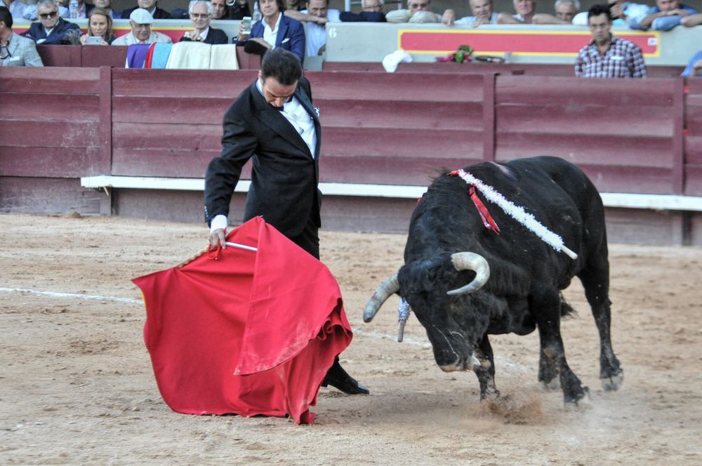 2016cordimamistres (603)