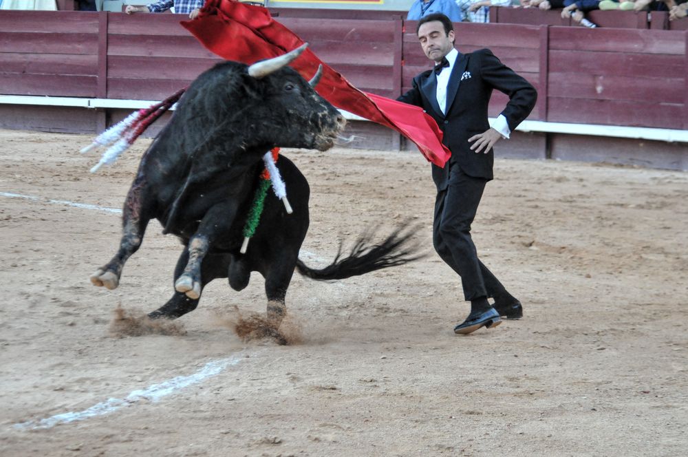 2016cordimamistres (606)