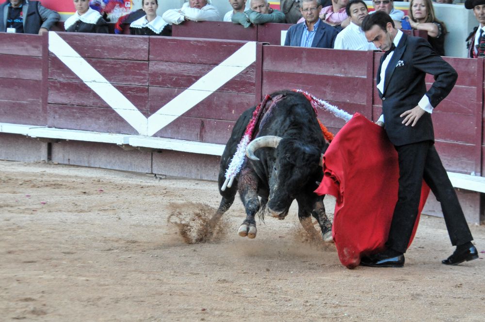 2016cordimamistres (607)