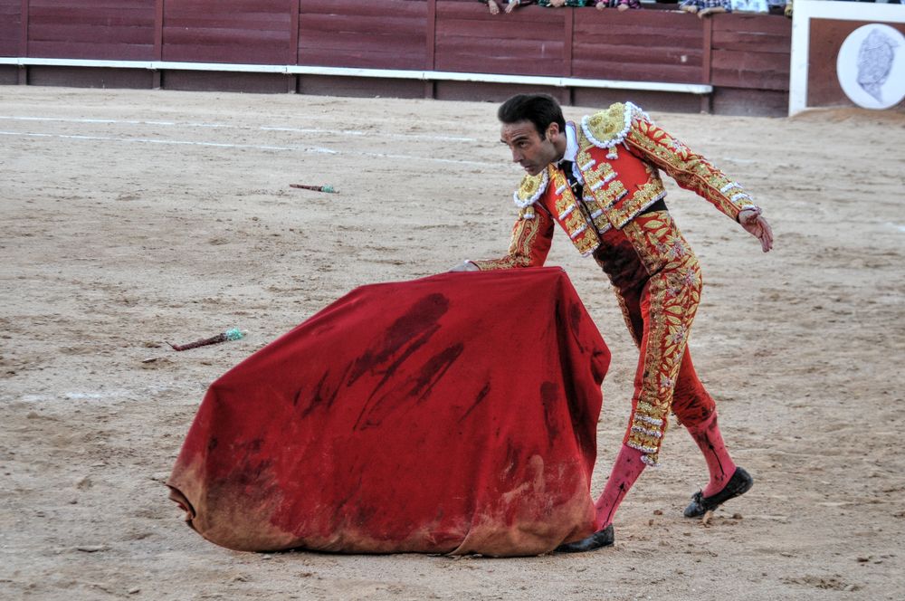 2016cordimamistres (61)